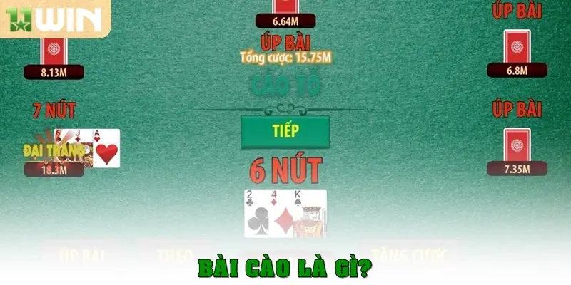 Bài cào là gì?